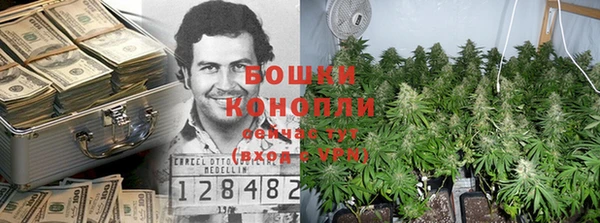 прущая мука Иннополис