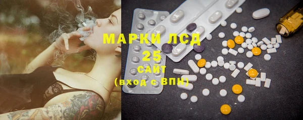 прущая мука Инсар
