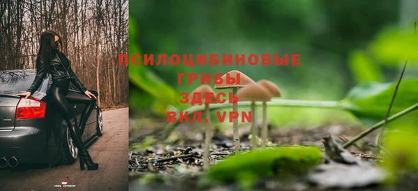 прущая мука Иннополис