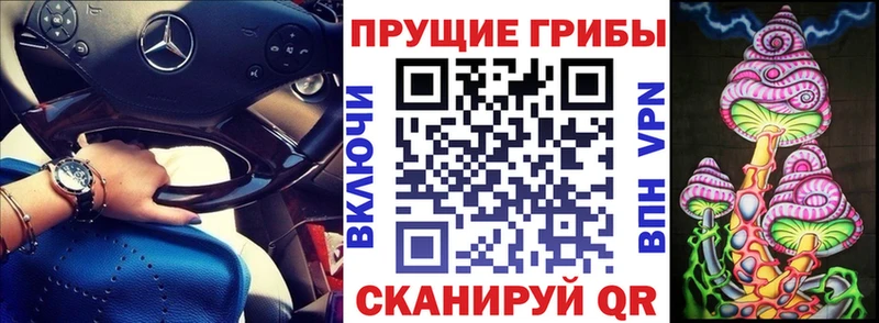 Галлюциногенные грибы Psilocybe Обнинск
